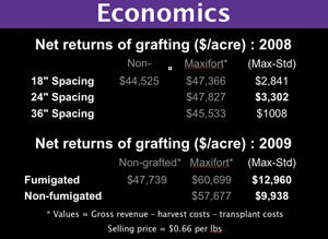 Economics