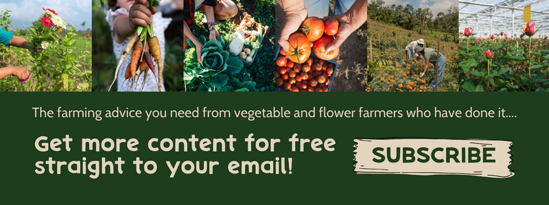 memberharvested-csa-runs-trust-and-efficient-smallscale