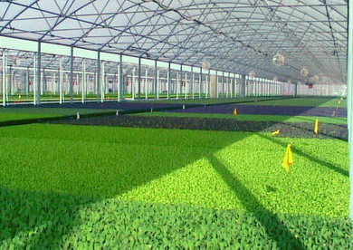 Greenhouse Supply