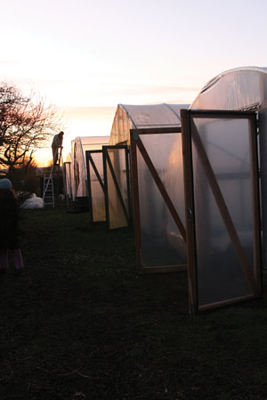 hoophouse at sunset
