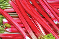 rhubarb