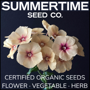 Summertime Seed