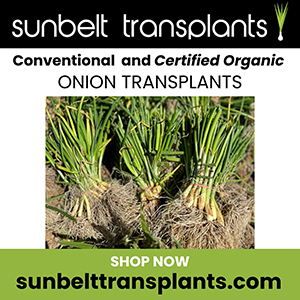 Sunbelt Transplants