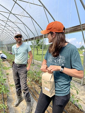 Tomato tissue sampling demonstration
