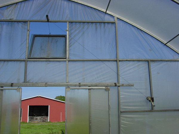 inside Vaughns hoop house