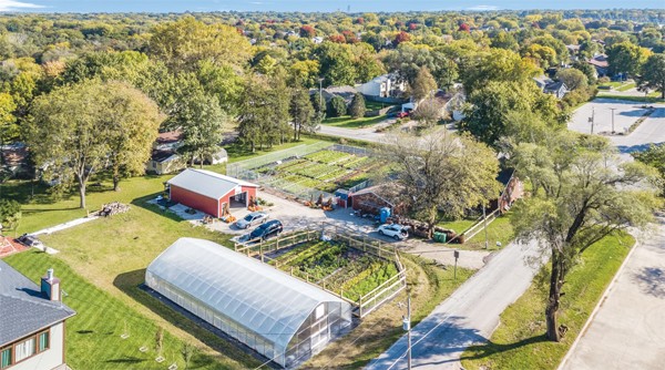 urban-farmstands-struggle