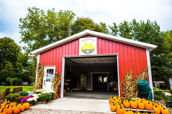 urban-farmstands-struggle