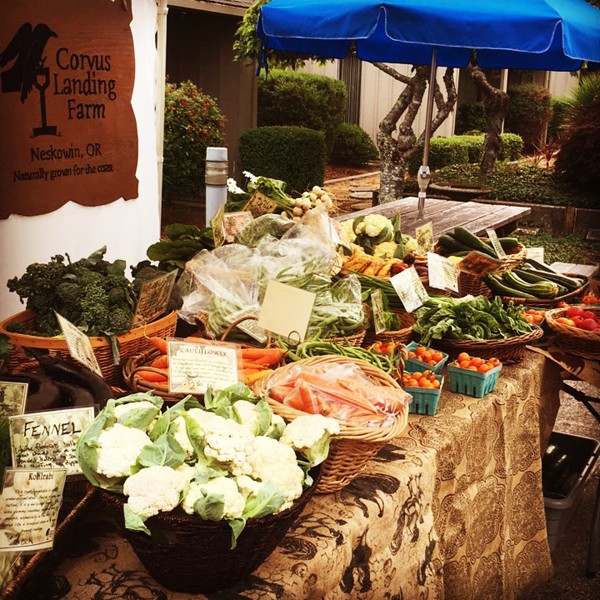 healthcare-beyond-hospitals-farm-hospital-connections