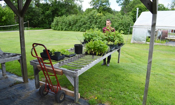 farmer-to-farmer-profile-Richard-Wiswall