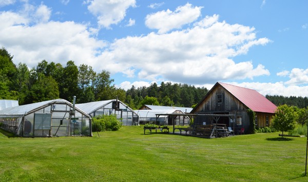 farmer-to-farmer-profile-Richard-Wiswall