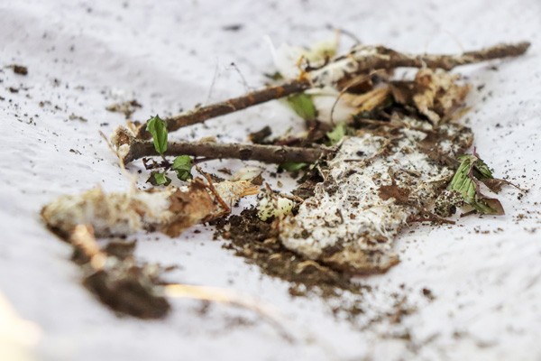 an-introduction-to-Korean-Natural-Farming