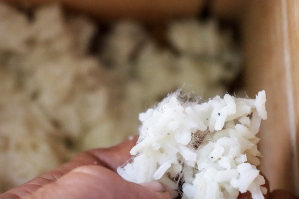 an-introduction-to-Korean-Natural-Farming