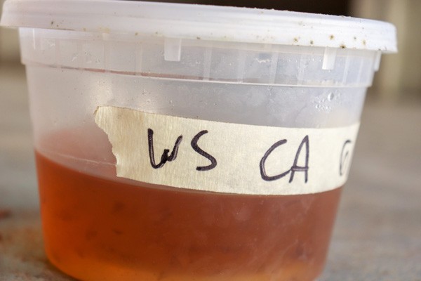 an-introduction-to-Korean-Natural-Farming