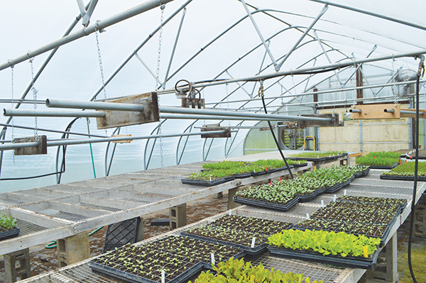 crossroads-community-farm-farmer-farmer-profile