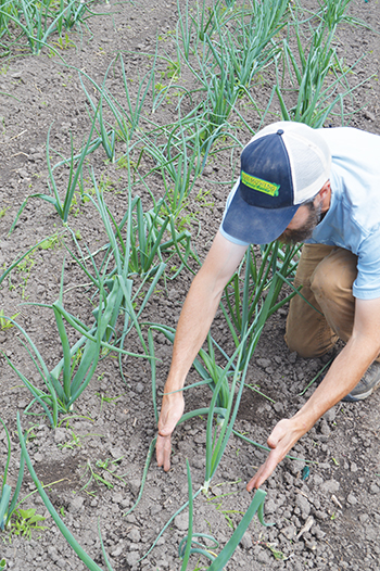 crossroads-community-farm-farmer-farmer-profile