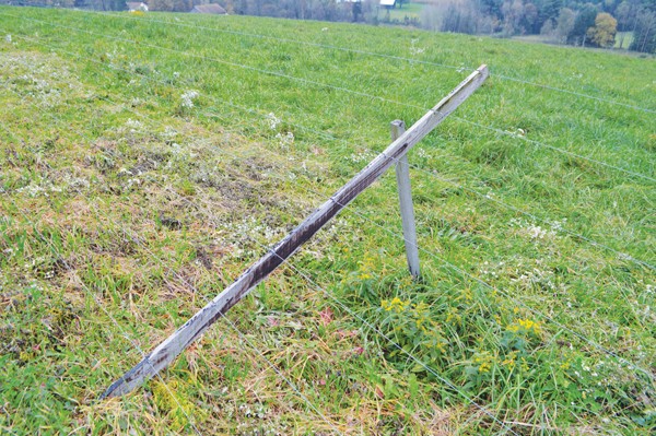 beech-grove-farm-farmer-farmer-profile