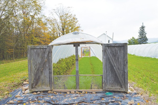 beech-grove-farm-farmer-farmer-profile