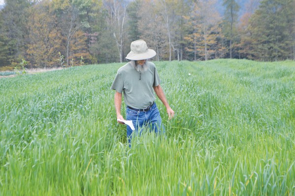 beech-grove-farm-farmer-farmer-profile