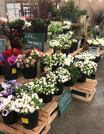 crop-coordination-helps-farms-reach-big-markets-through