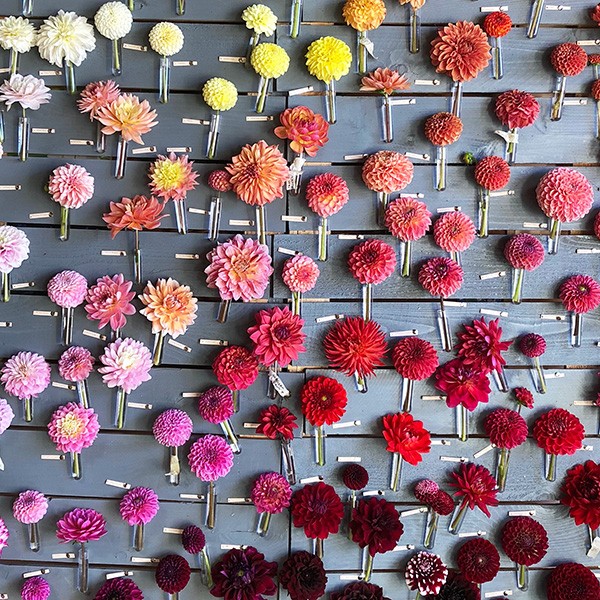 crop-coordination-helps-farms-reach-big-markets-through