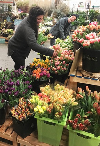 crop-coordination-helps-farms-reach-big-markets-through