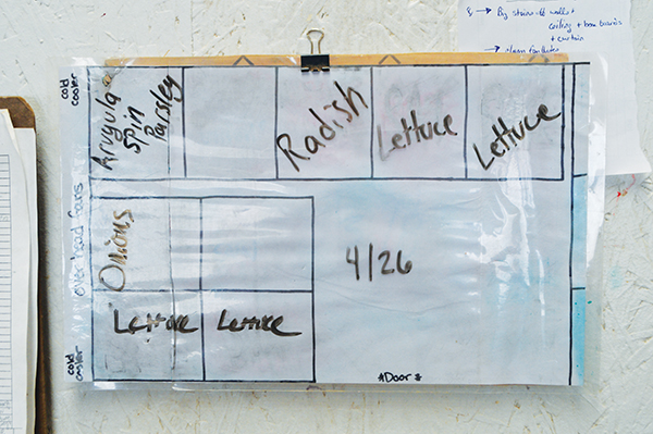 new-morning-farm-profile
