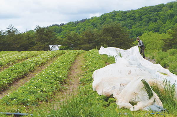 new-morning-farm-profile