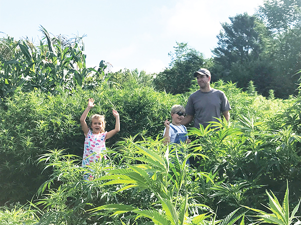 growing-hemp-the-first-time-part-two