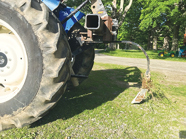 growing-hemp-the-first-time-part-two