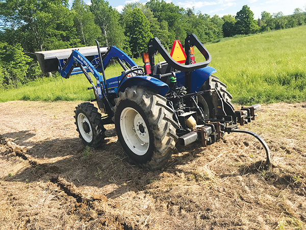 growing-hemp-the-first-time-part-two