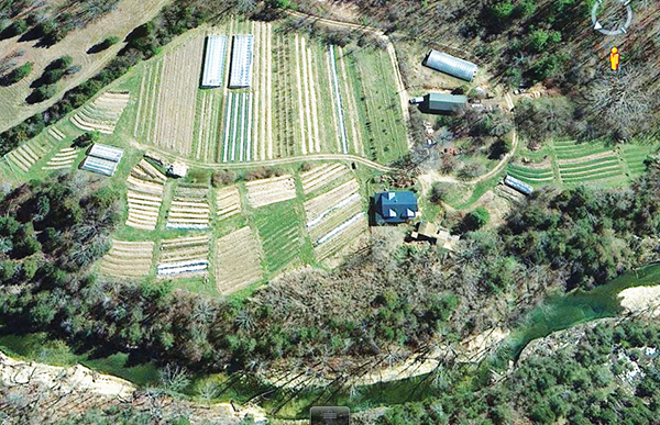dripping-springs-garden-farmer-farmer-profile