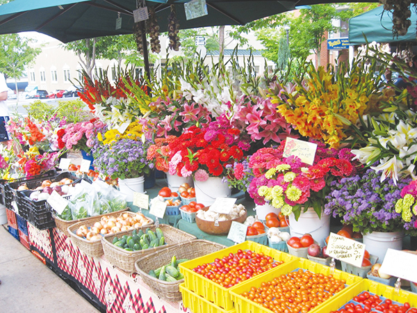 dripping-springs-garden-farmer-farmer-profile
