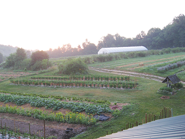 dripping-springs-garden-farmer-farmer-profile