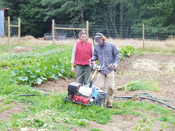 what-would-lazy-farmer-do-training-effectiveness-and