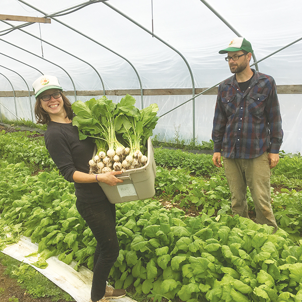 what-would-lazy-farmer-do-training-effectiveness-and