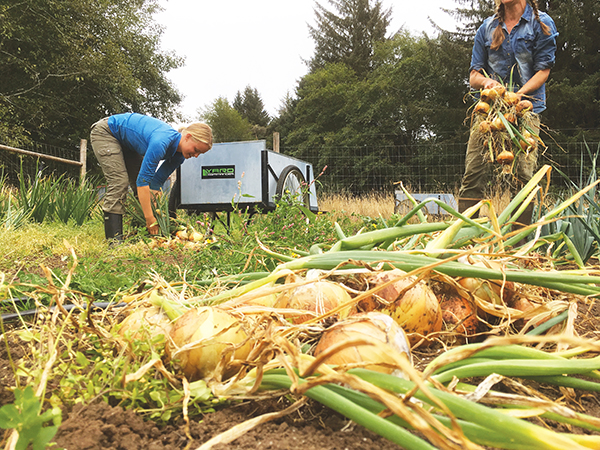 what-would-lazy-farmer-do-training-effectiveness-and