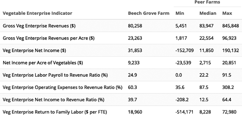 sobering-financial-benchmarks-vegetable-farms