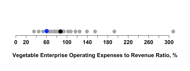 sobering-financial-benchmarks-vegetable-farms