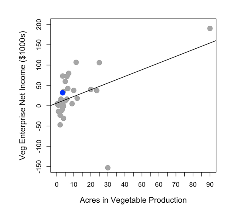 sobering-financial-benchmarks-vegetable-farms
