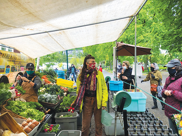 pack-shed-setups-and-farmers-market-displays