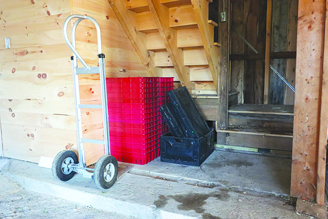 beat-the-heat-postharvest-handling