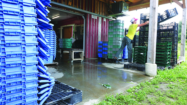 beat-the-heat-postharvest-handling