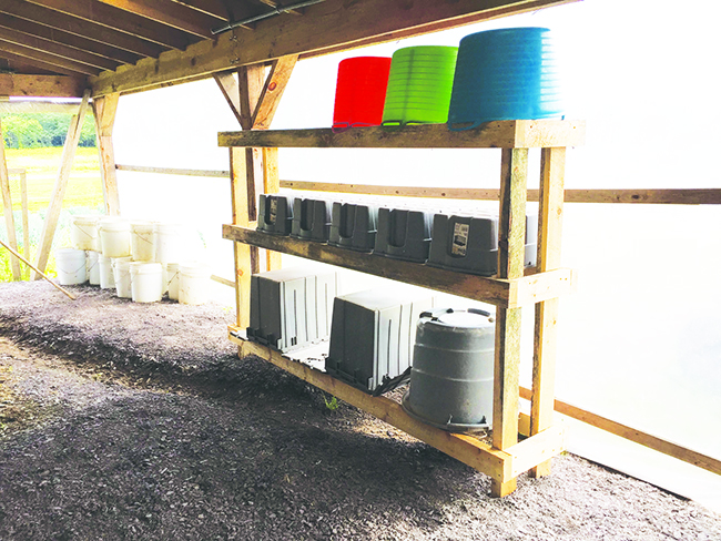 beat-the-heat-postharvest-handling