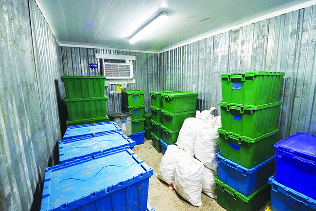 beat-the-heat-postharvest-handling