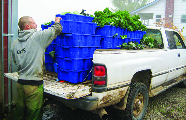 our-full-diet-csa-adventure