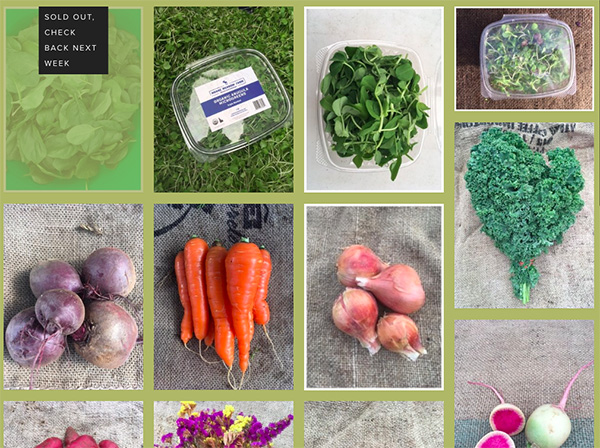 tips-selling-produce-online