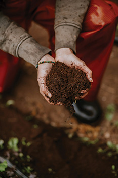 microbes-land-repair-5year-ecofarming-trial