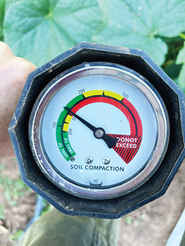 microbes-land-repair-5year-ecofarming-trial