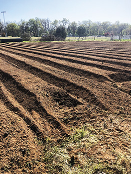 simple-salad-harvester-and-wooden-bed-shaper