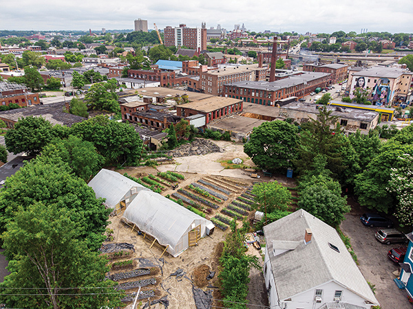 brownfield-flower-farms